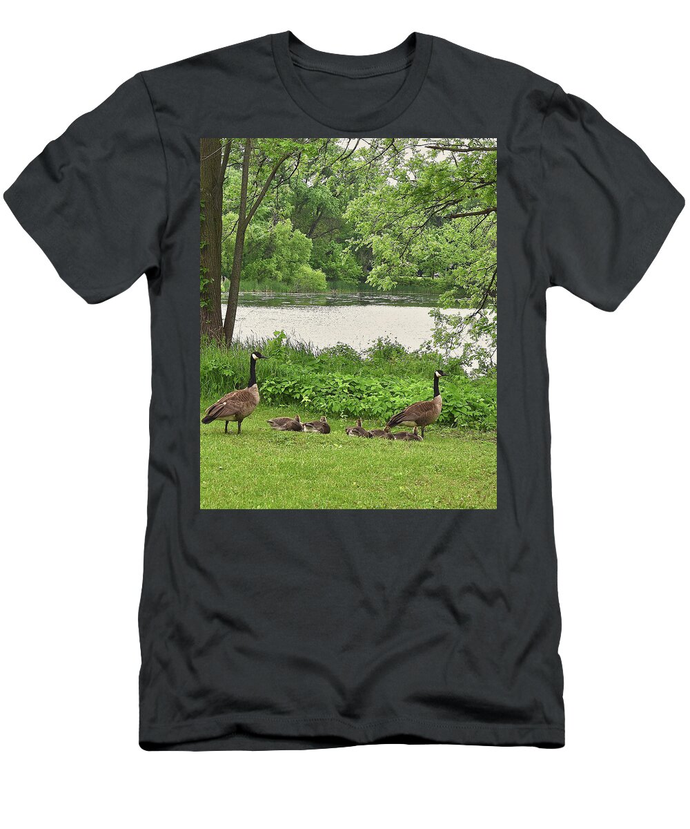 Canadian Geese T-Shirt featuring the photograph 2022 Geese and Goslings Visiting the Basin by Janis Senungetuk