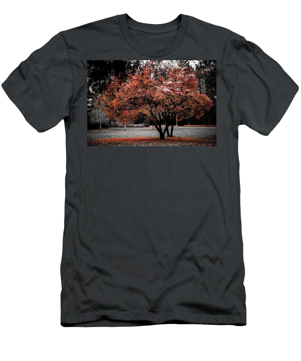 Autumn T-Shirt featuring the photograph Autumn #25 by Robert Grac