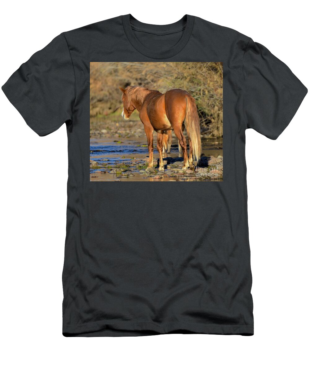Salt River Wild Horse T-Shirt featuring the digital art Salt River Wild Horse #26 by Tammy Keyes