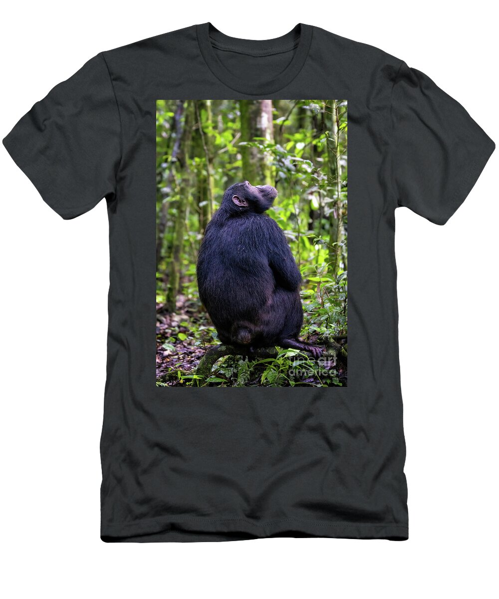 Chimpanzee T-Shirt featuring the photograph Adult chimpanzee, pan troglodytes, in the tropical rainforest of #3 by Jane Rix