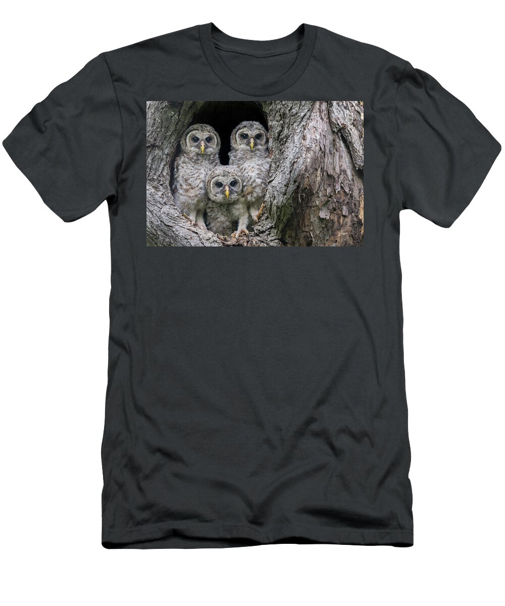 Cute Owlet T-Shirt featuring the photograph Pardon Me Is it a New Nikon Z9 Mirrorless Camera - Baby Barred Owls by Puttaswamy Ravishankar