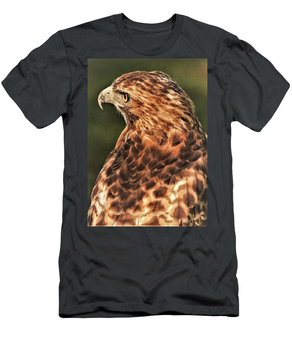 Bird Of Pray Feathers Eye T-Shirt featuring the photograph Bird1 by John Linnemeyer