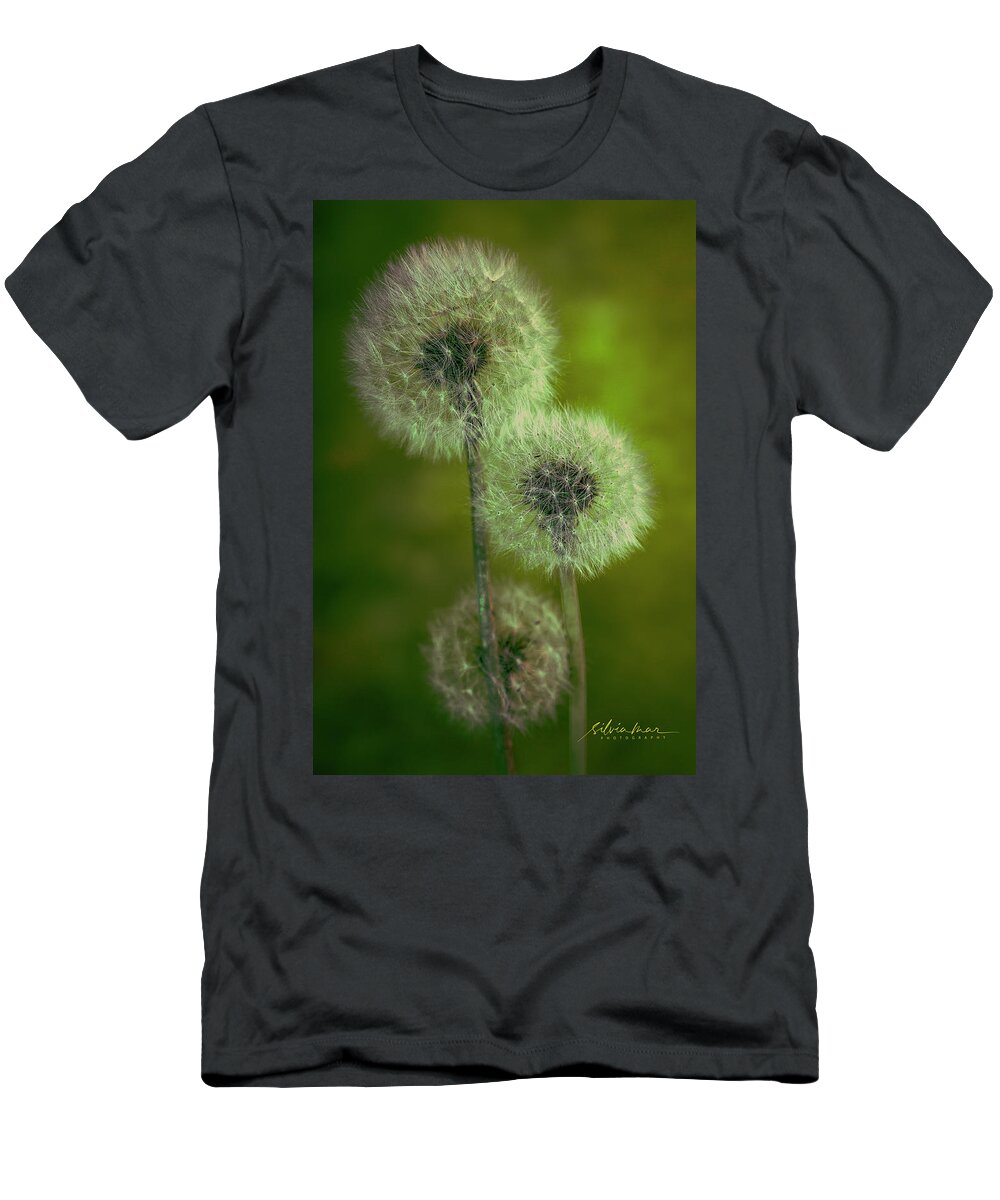 Plants T-Shirt featuring the photograph 3 Dandelions by Silvia Marcoschamer