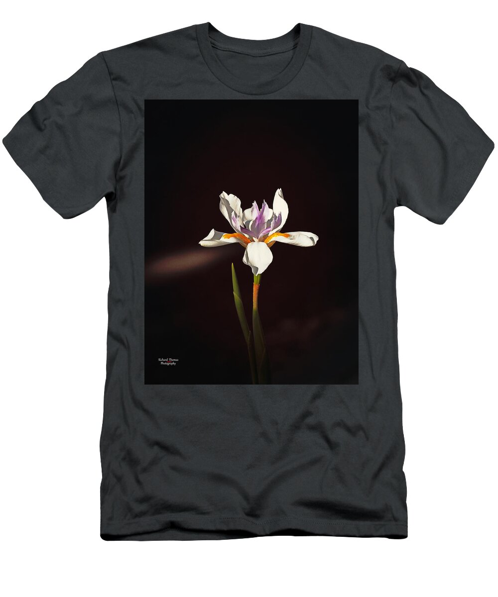 Botanical T-Shirt featuring the photograph Day Lily #3 by Richard Thomas