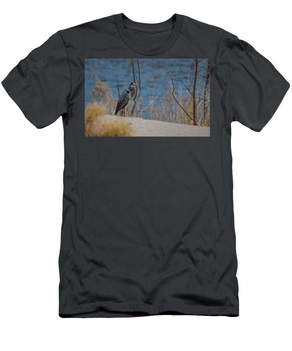Lahontan T-Shirt featuring the photograph Great Blue Heron #3 by Rick Mosher