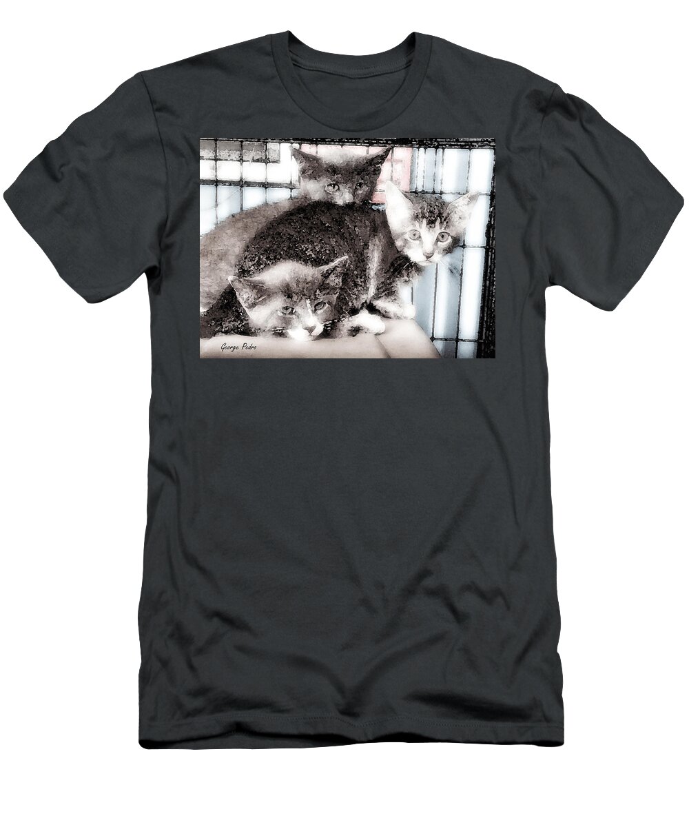 Kittens T-Shirt featuring the painting 3 Kittens by George Pedro
