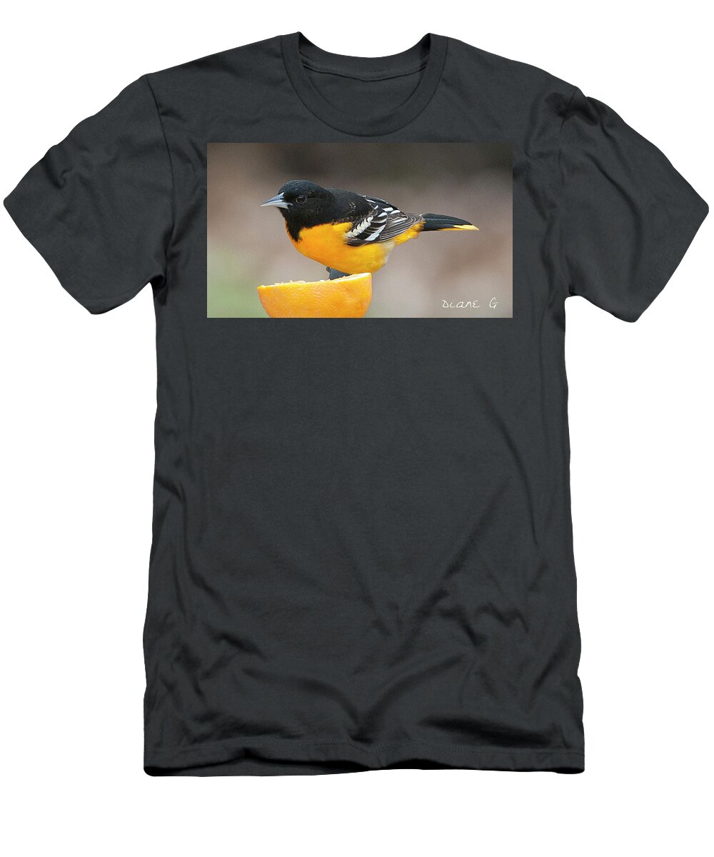 Male Baltimore Oriole T-Shirt featuring the photograph Male Baltimore Oriole #3 by Diane Giurco