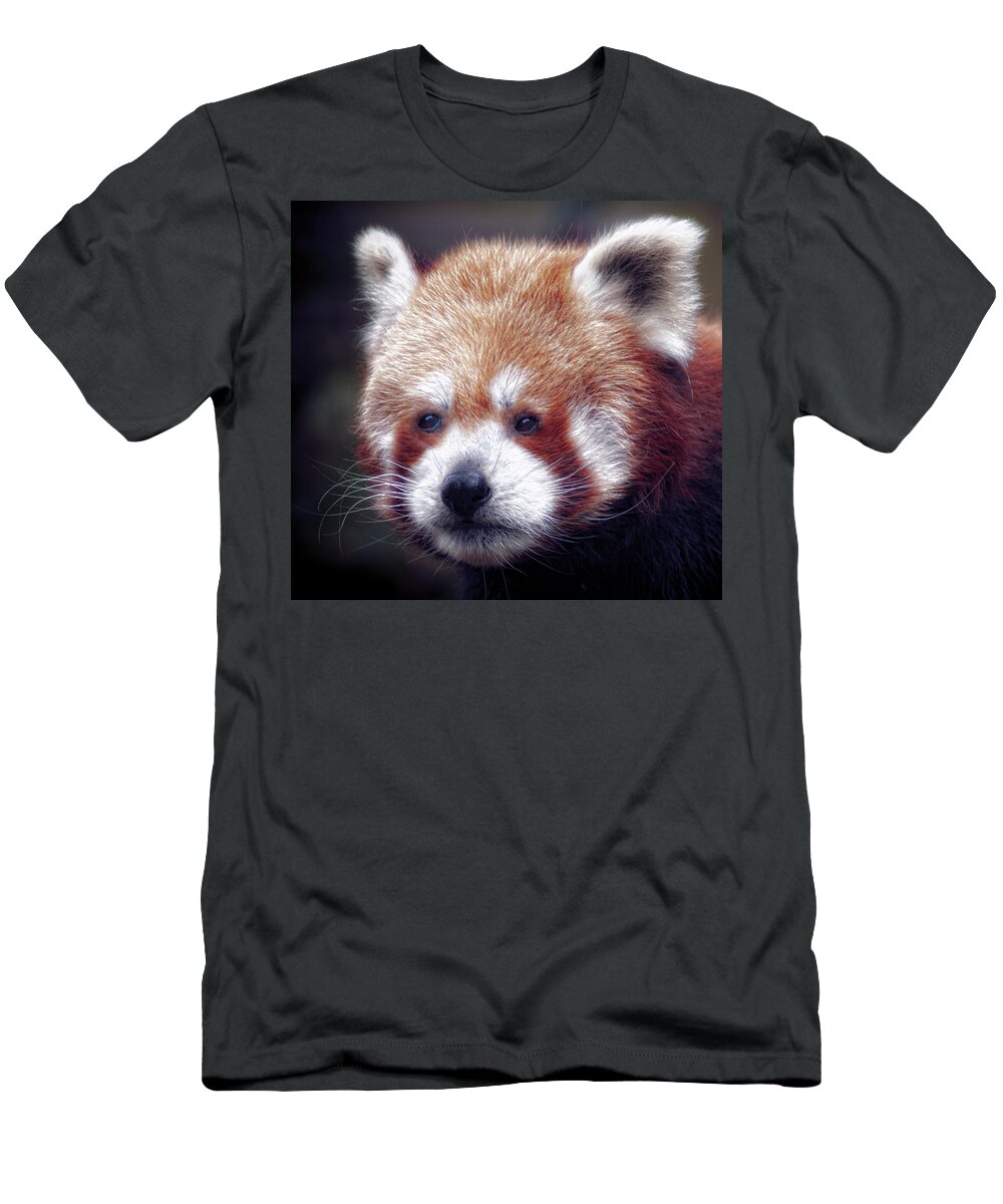Red T-Shirt featuring the photograph Red Panda by Chris Boulton