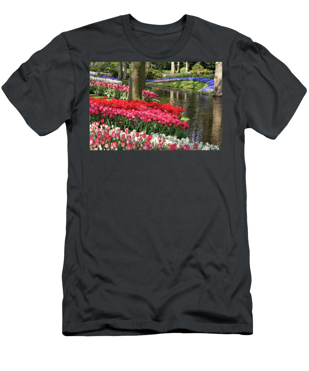 Keukenhof T-Shirt featuring the photograph Swathes of colour #3 by Shirley Mitchell