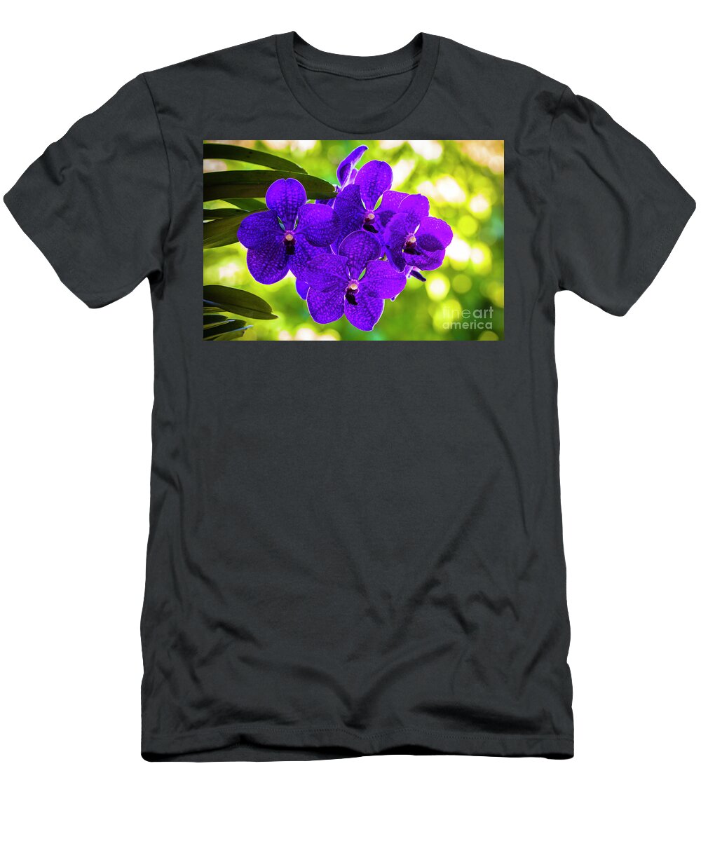 Background T-Shirt featuring the photograph Purple Orchid Flowers #31 by Raul Rodriguez