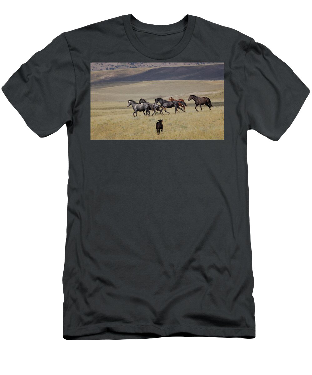 Horse T-Shirt featuring the photograph Wild Horses #38 by Laura Terriere