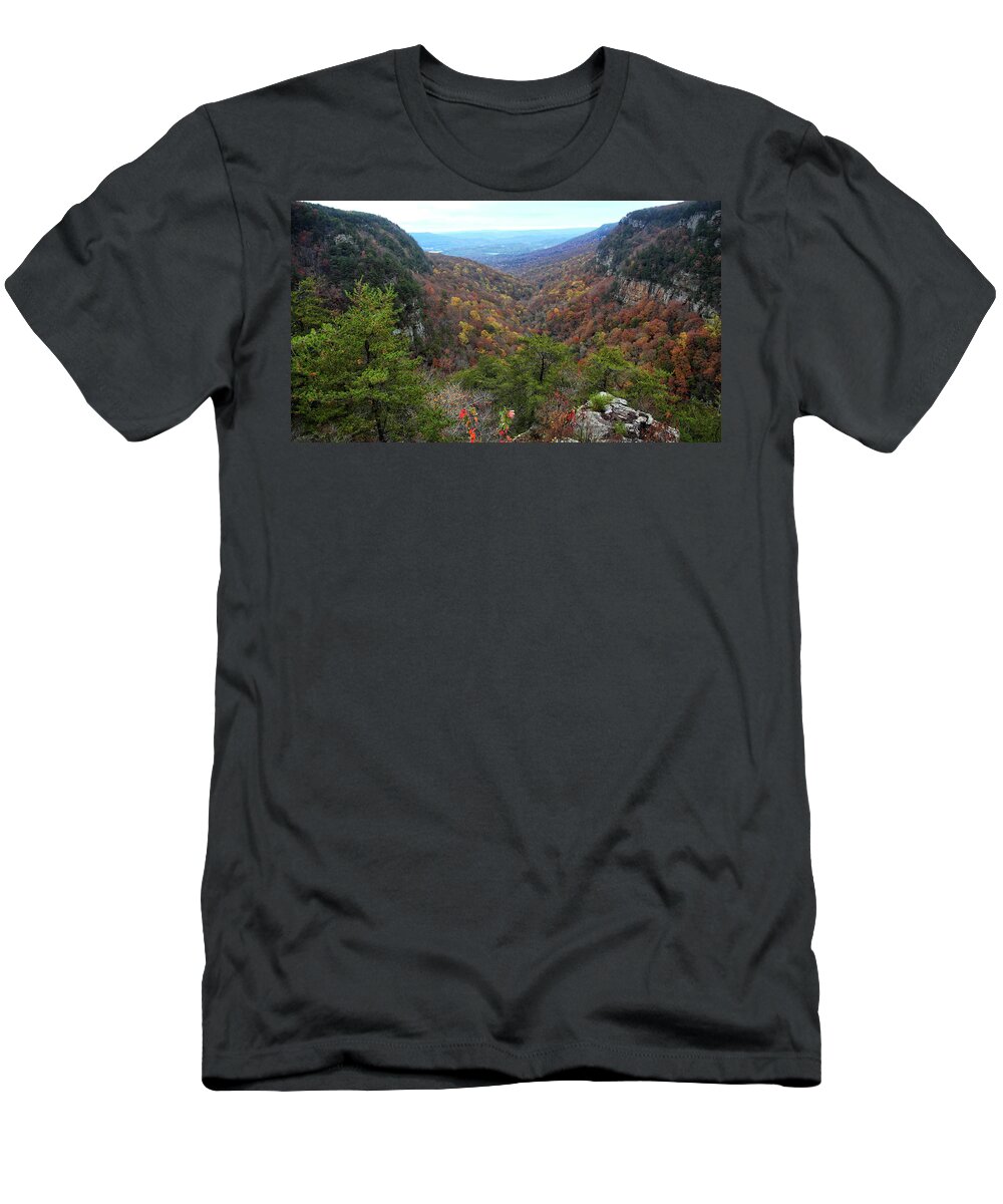 Fall T-Shirt featuring the photograph Cloudland Colors #4 by George Taylor