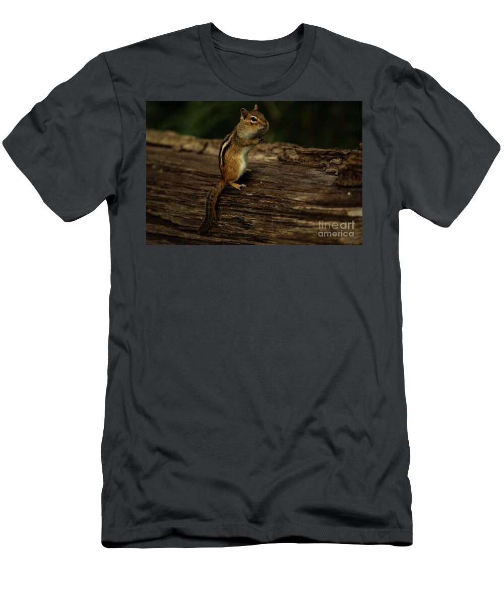 Eating T-Shirt featuring the photograph Eastern Chipmunk looking for food #4 by JT Lewis