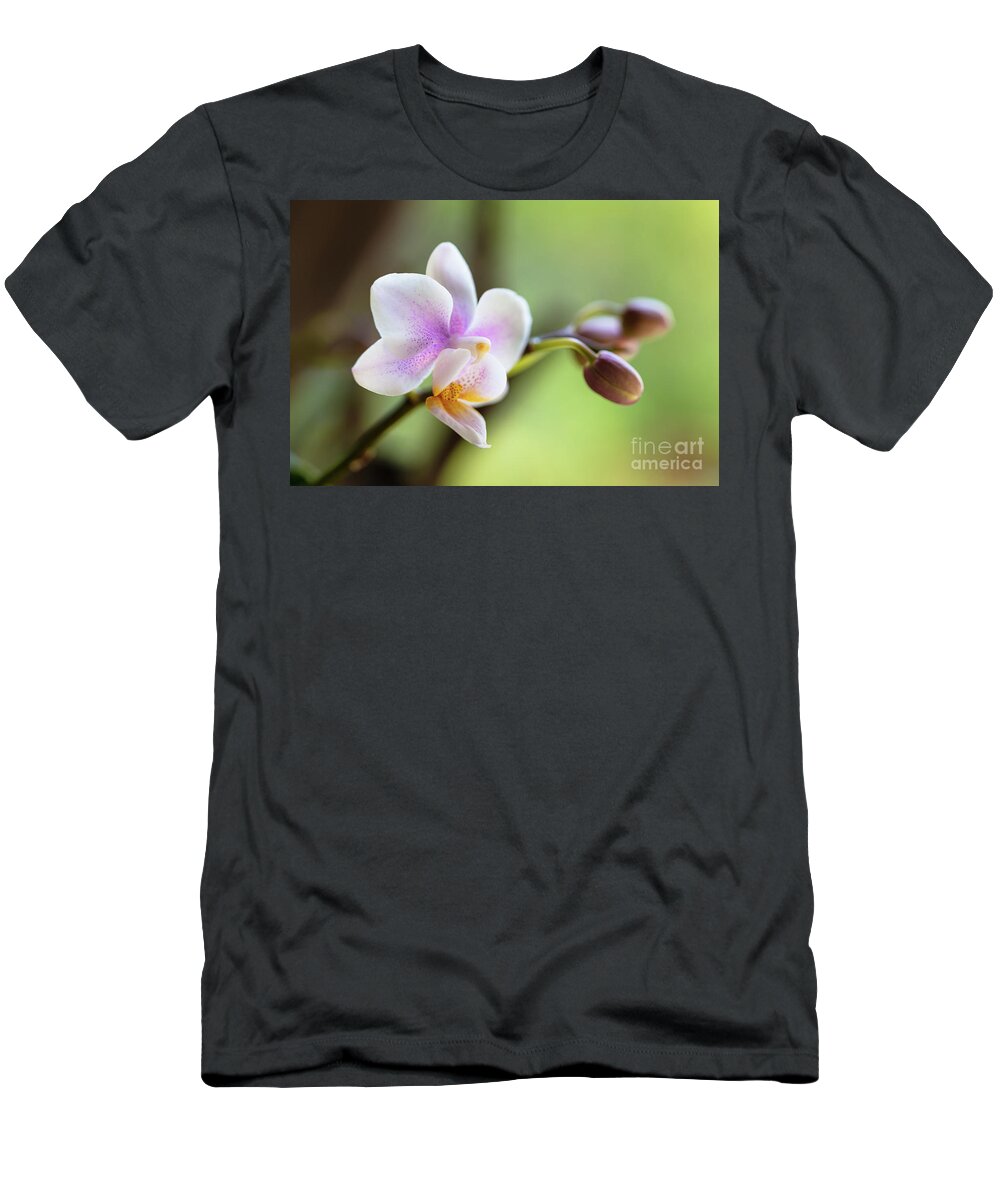 Background T-Shirt featuring the photograph Purple Orchid Flower #4 by Raul Rodriguez