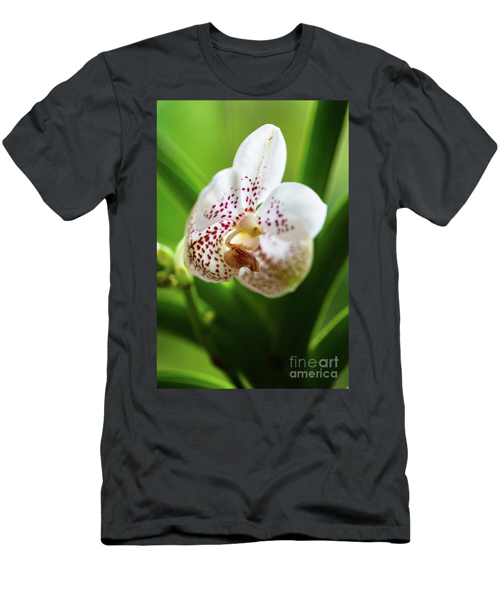 Background T-Shirt featuring the photograph Spotted Orchid Flower #4 by Raul Rodriguez