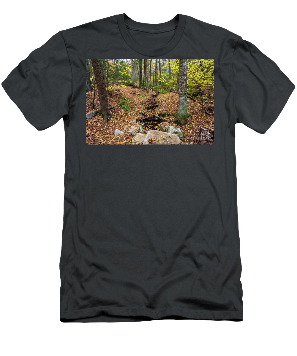 2018 T-Shirt featuring the photograph Appalachian Autumn by Stef Ko