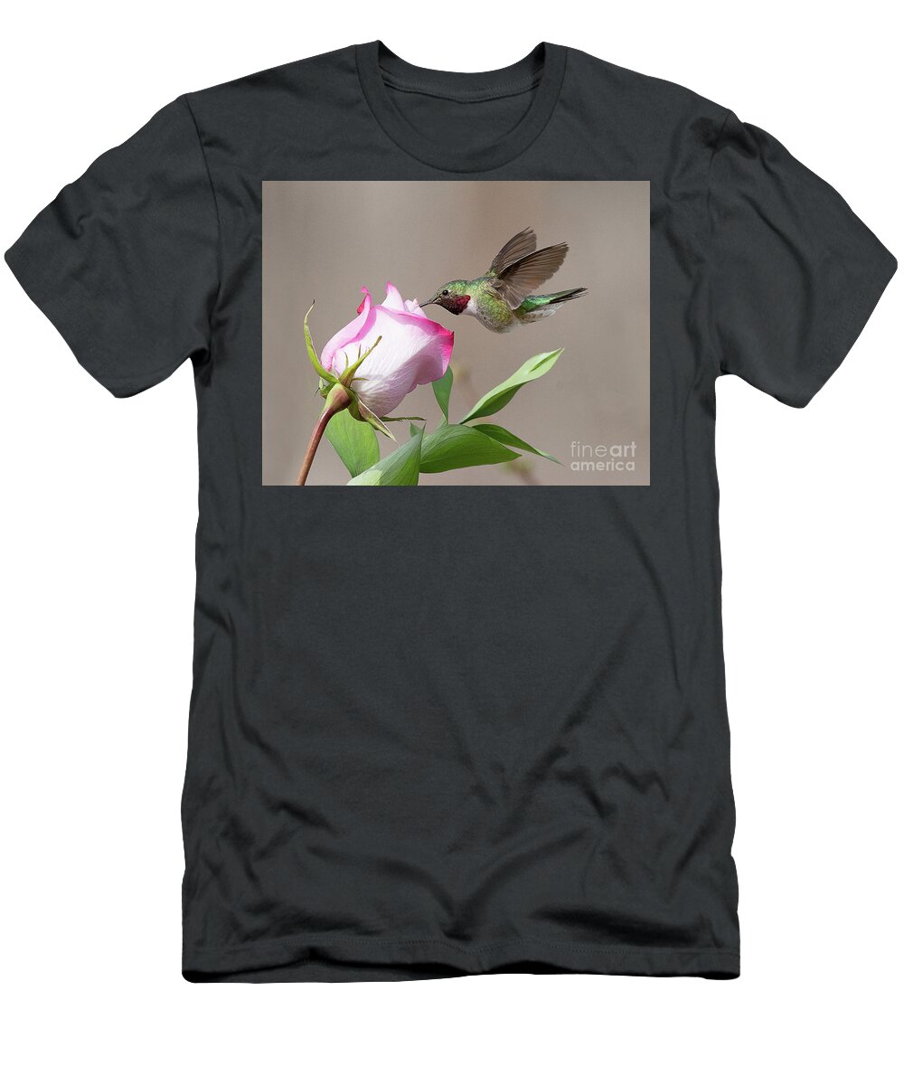Bird T-Shirt featuring the photograph Broad-tailed Hummingbird #6 by Dennis Hammer