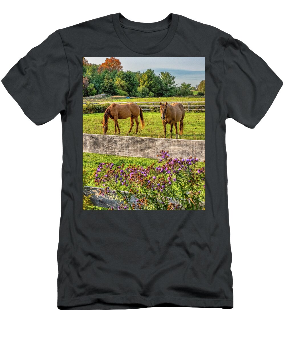 Airey T-Shirt featuring the photograph Autumn Horses of Uxbridge #7 by Dee Potter