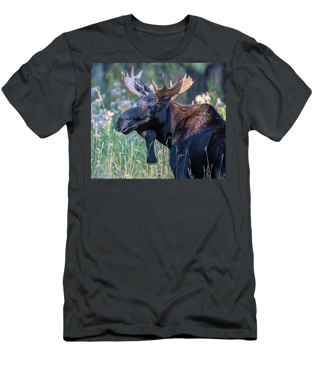 Moose T-Shirt featuring the photograph Bull moose, Wilson, WY #7 by Moris Senegor