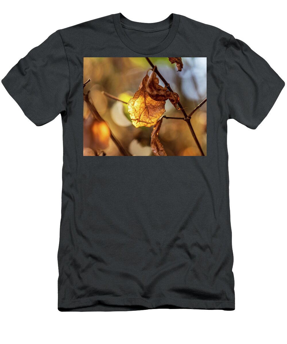 Landscape T-Shirt featuring the photograph Nature Photography - Fall Leaves #7 by Amelia Pearn