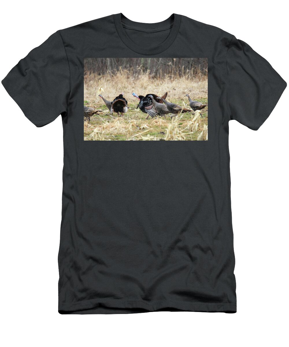 Wild Turkeys T-Shirt featuring the photograph Wild Turkey #8 by Brook Burling