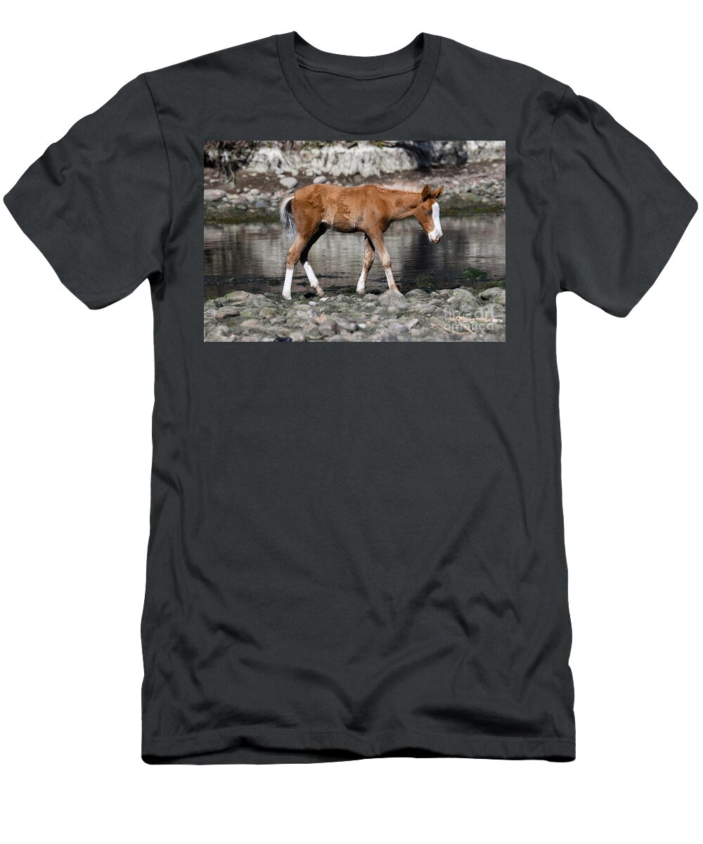 Salt River Wild Horses T-Shirt featuring the digital art Salt River Wild Horses #9 by Tammy Keyes