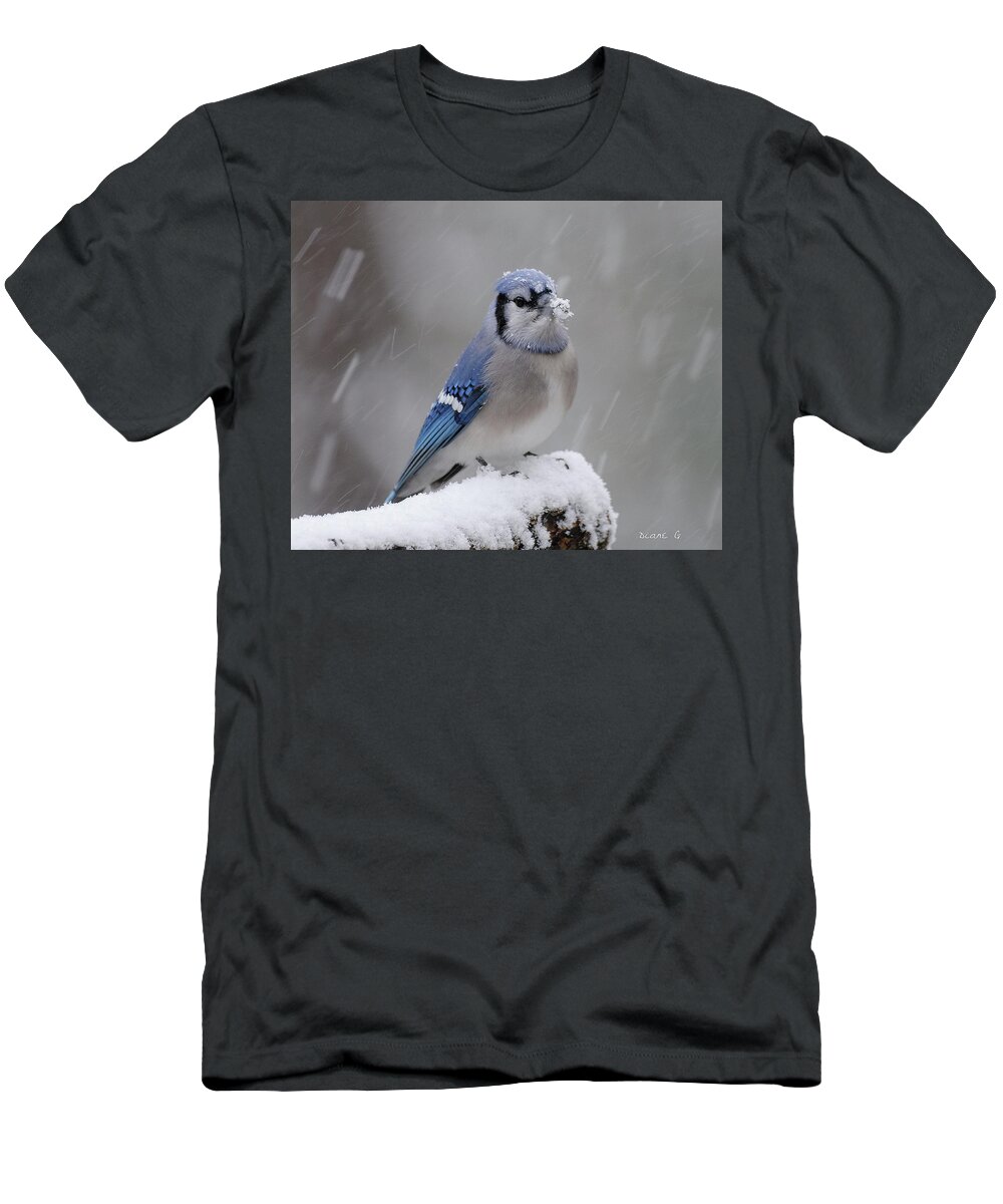 Winter Blue Jay T-Shirt featuring the photograph Winter Blue Jay #9 by Diane Giurco