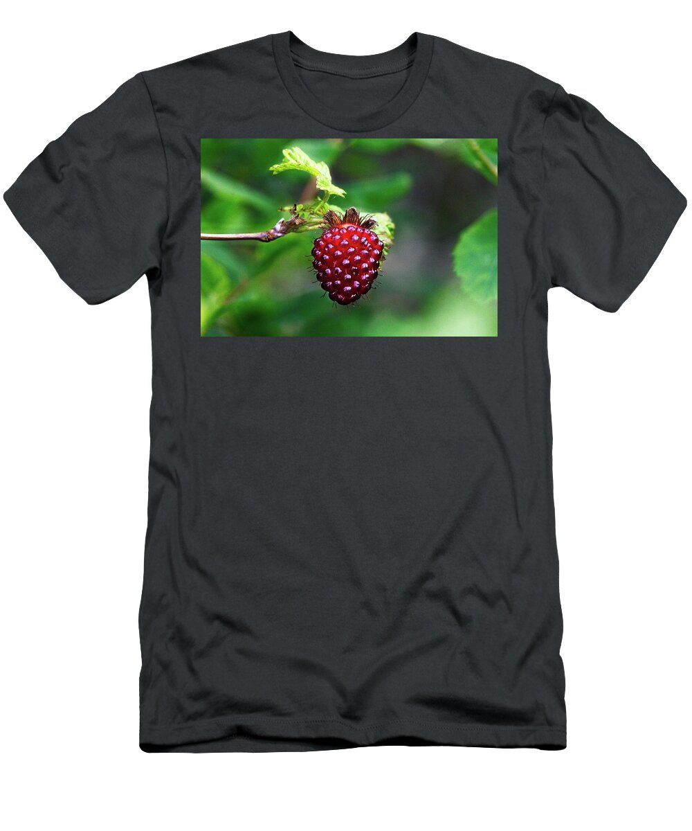 Alone T-Shirt featuring the photograph A Berry Red Berry by David Desautel