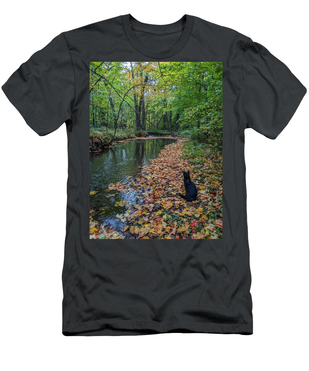 Black Cat T-Shirt featuring the photograph A Bit of Magic in the Woods by Kimberly Mackowski