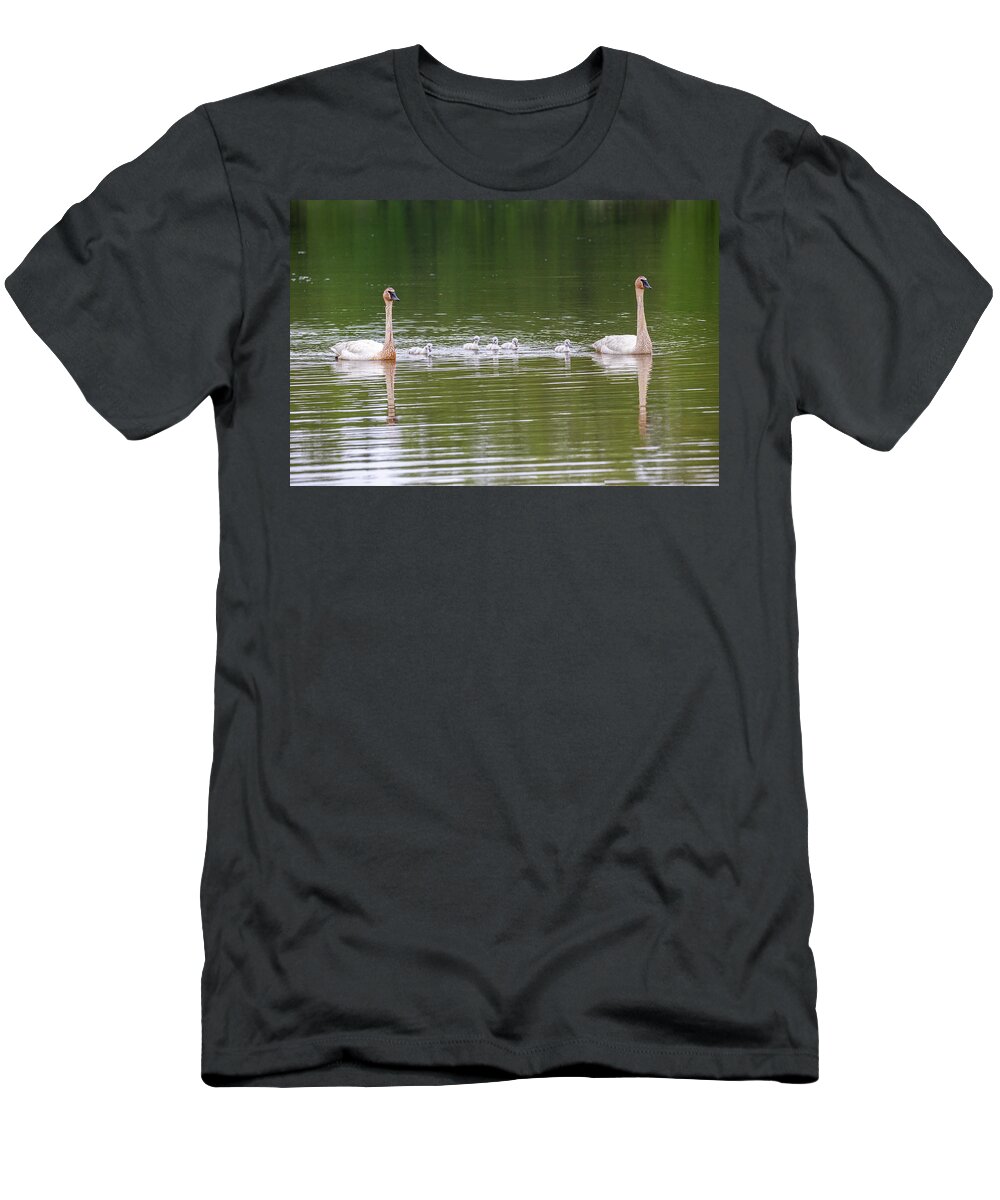 Trumpeter Swan T-Shirt featuring the photograph A Family Of Trumpeter Swans by Dale Kincaid