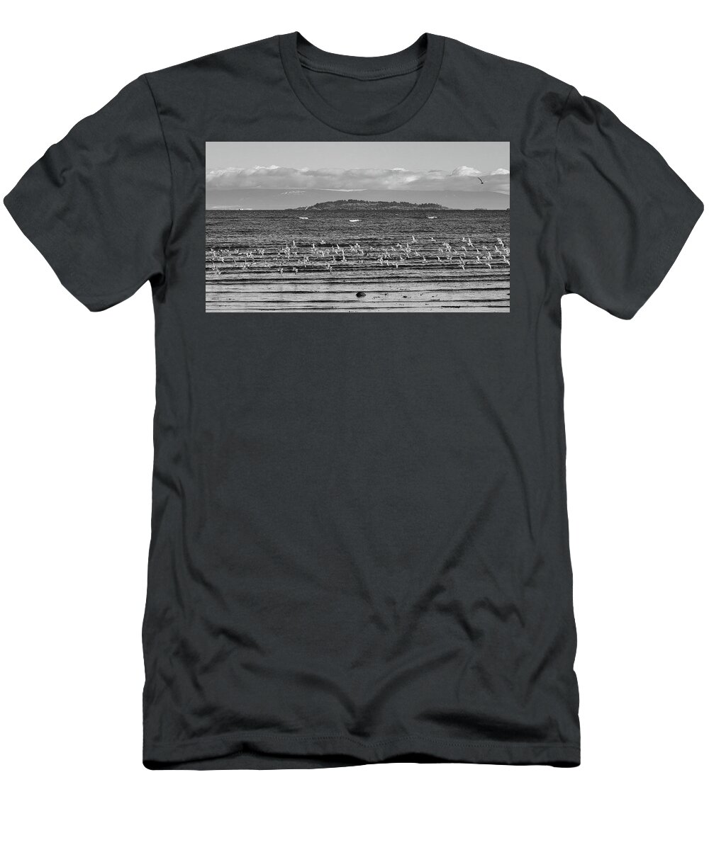 Seascape T-Shirt featuring the photograph A Fling Of Dunlins Black and White by Allan Van Gasbeck