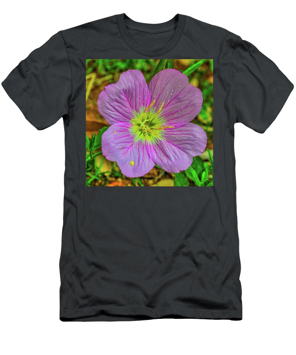 Flower T-Shirt featuring the photograph Showy Evening Primrose of Texas by James C Richardson