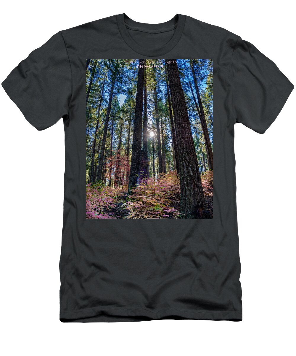 Forest T-Shirt featuring the photograph A Forest of Pink by Devin Wilson