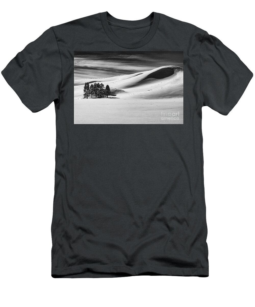 Yellowstone National Park T-Shirt featuring the photograph A Group of Trees in Yellowstone 2 by Bob Phillips