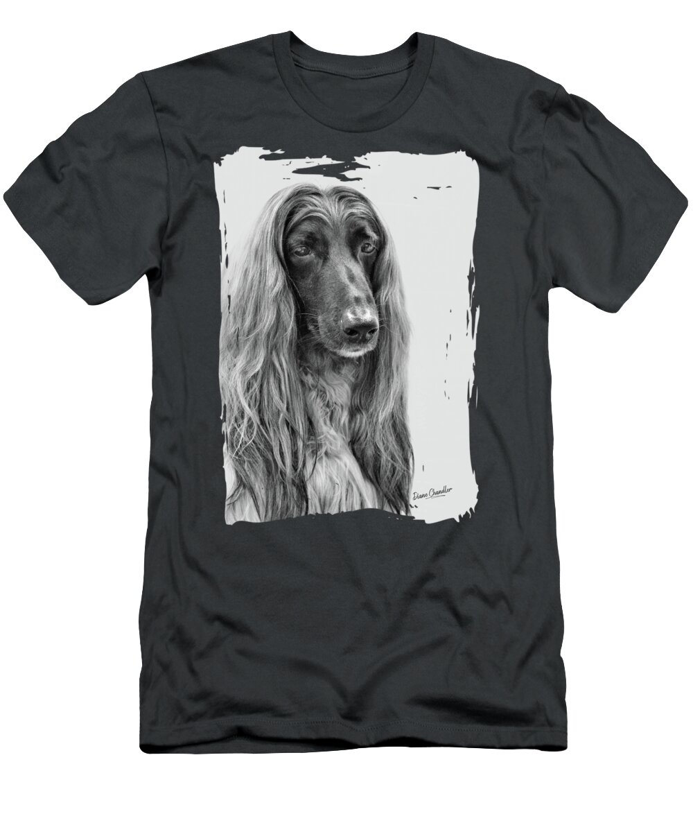 Afghan Hound T-Shirt featuring the photograph A Kind and Regal Spirit by Diane Chandler