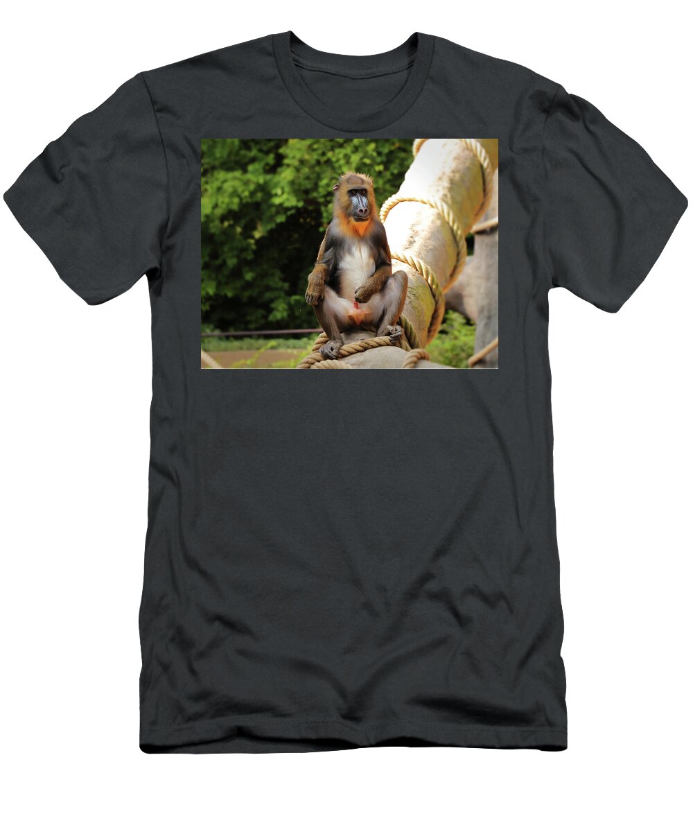 Mandrill T-Shirt featuring the photograph Mandrillus sphinx sitting on the trunk by Vaclav Sonnek