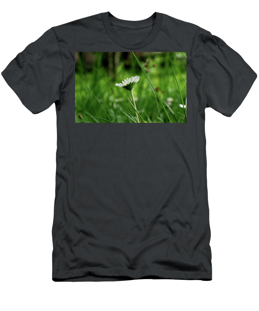Bellis Perennis T-Shirt featuring the photograph A one daisy in the middle of grassland. View is from down heading up. Springtime and summer come to our lands by Vaclav Sonnek
