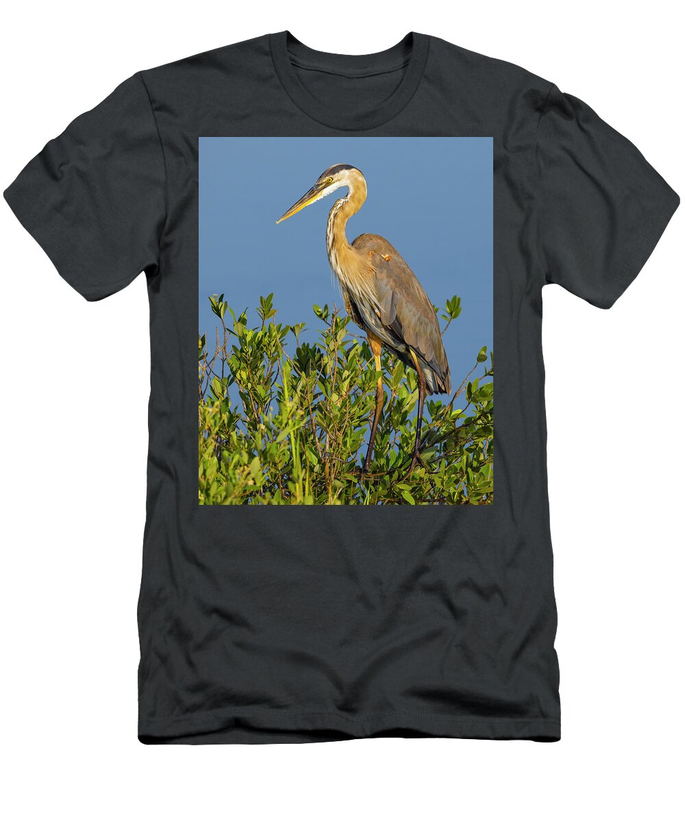 R5-2653 T-Shirt featuring the photograph A Proud Heron by Gordon Elwell
