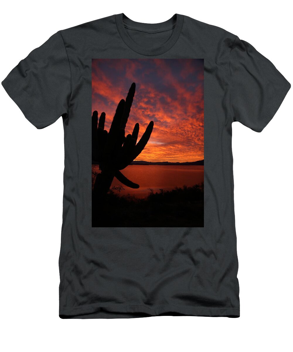 Sunrise T-Shirt featuring the photograph A Saguaro Sunrise by Steve Wolfe