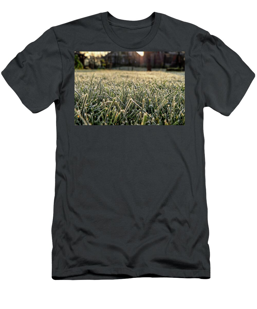 Environment T-Shirt featuring the photograph Stem of grass are covering snow. by Vaclav Sonnek