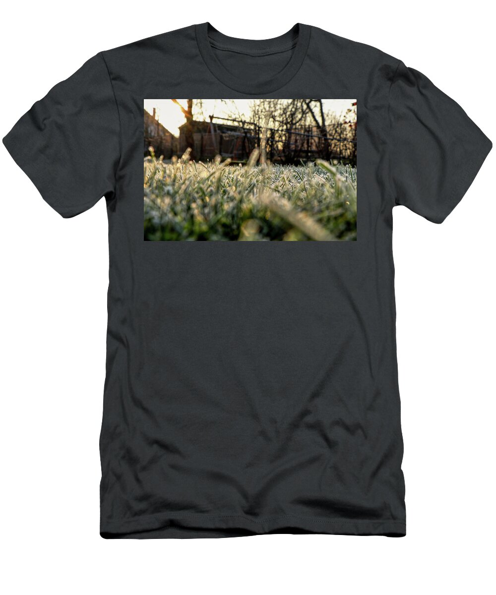 Environment T-Shirt featuring the photograph A stem of grass with sunrise. A wonderful story of beauty by Vaclav Sonnek