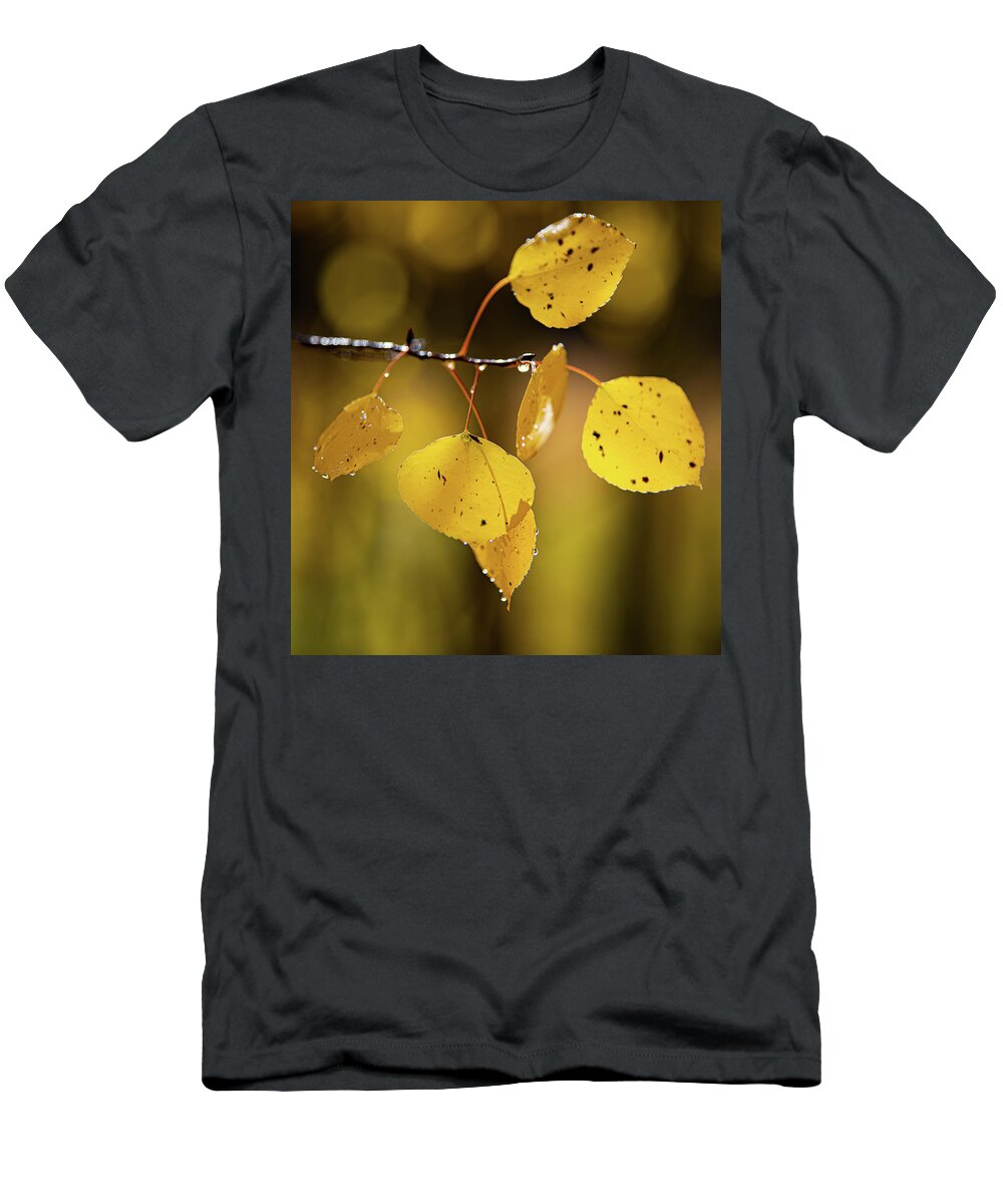 Colorado T-Shirt featuring the photograph A Symbol of Fall by David Downs
