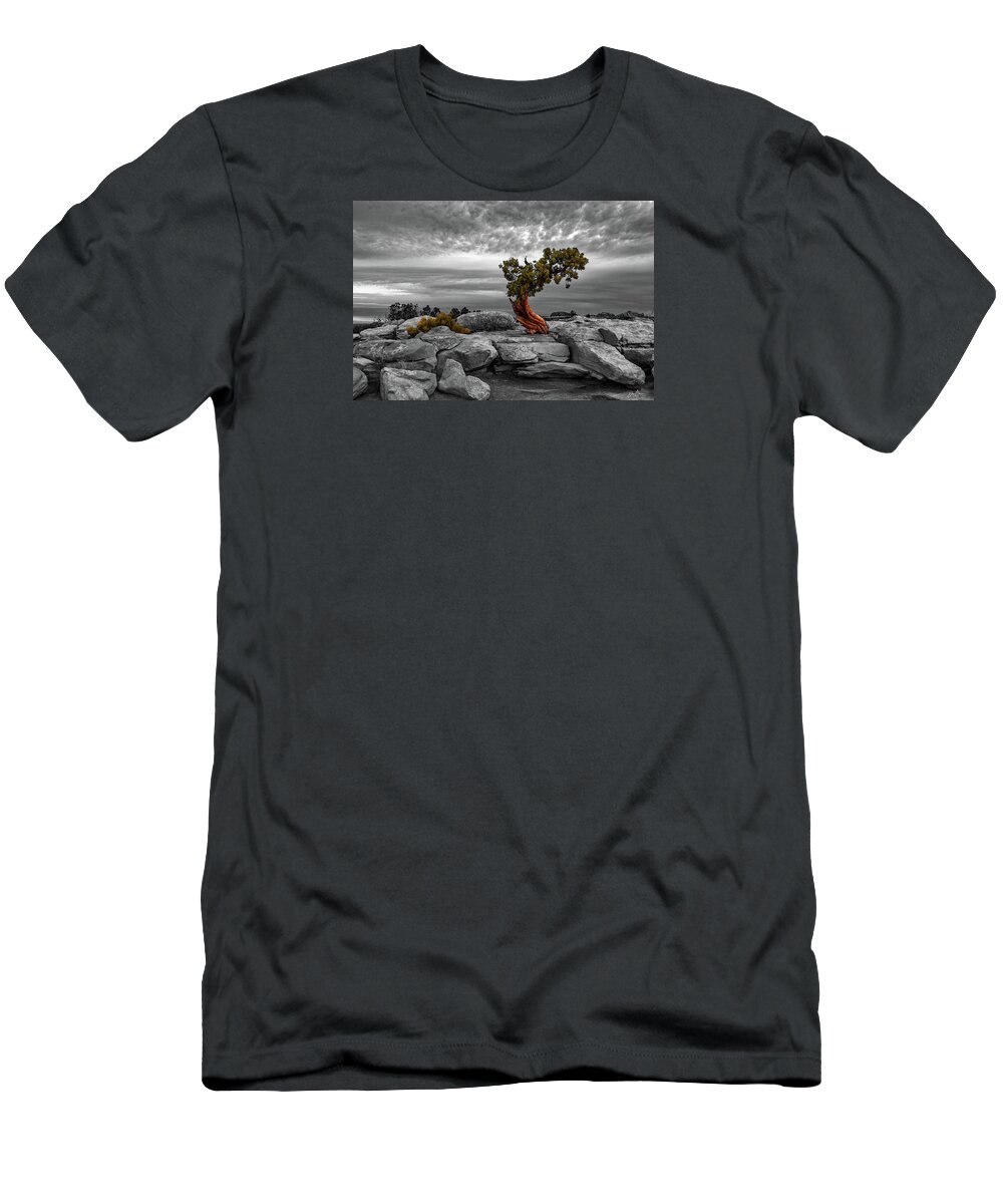 Moab T-Shirt featuring the photograph A Tree With Character by Dan Norris