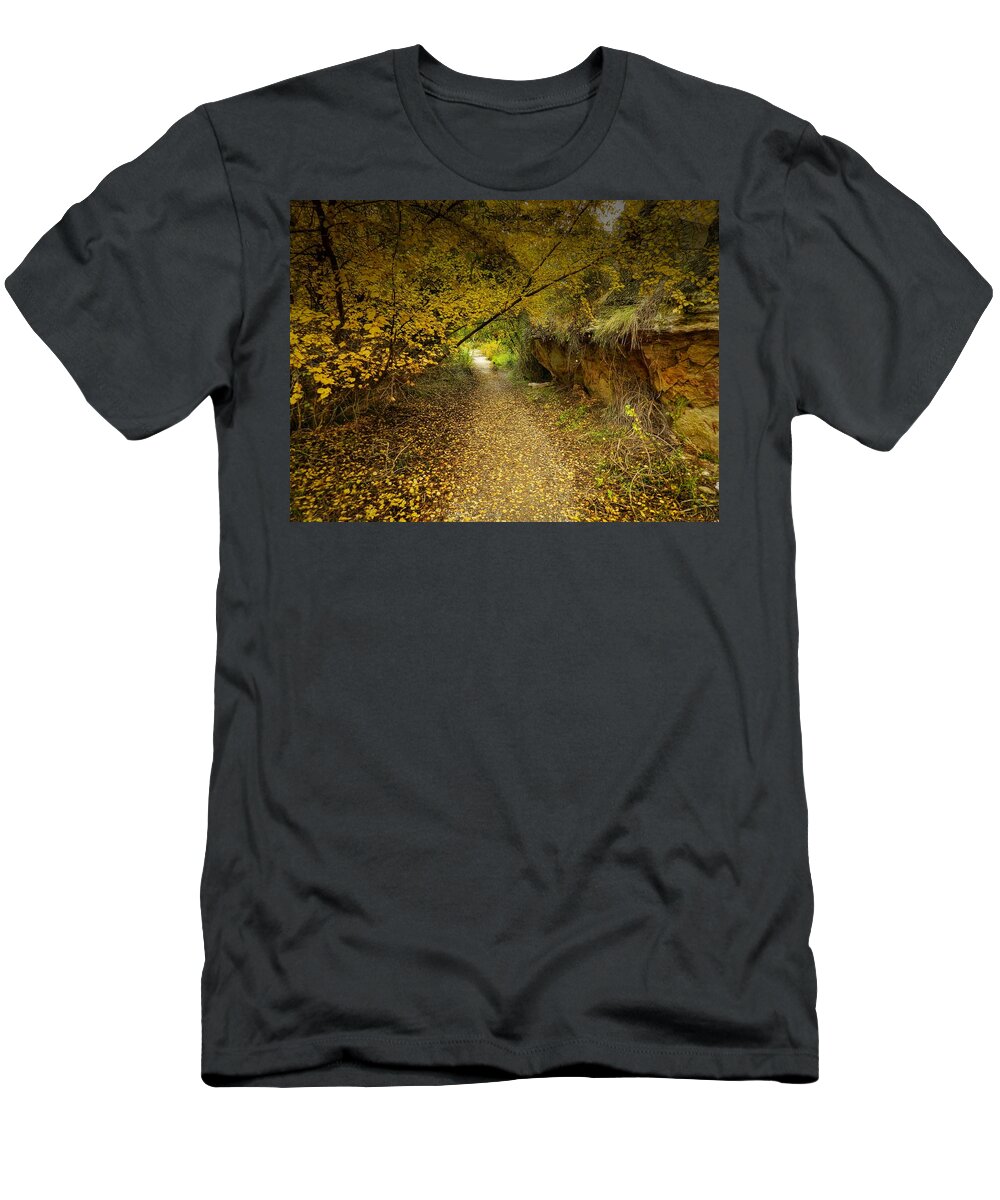 Autumnal T-Shirt featuring the photograph A True Autumn Day by Laura Putman
