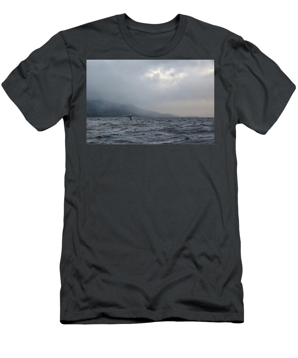 Ocean T-Shirt featuring the photograph A whale tale by Debra Baldwin