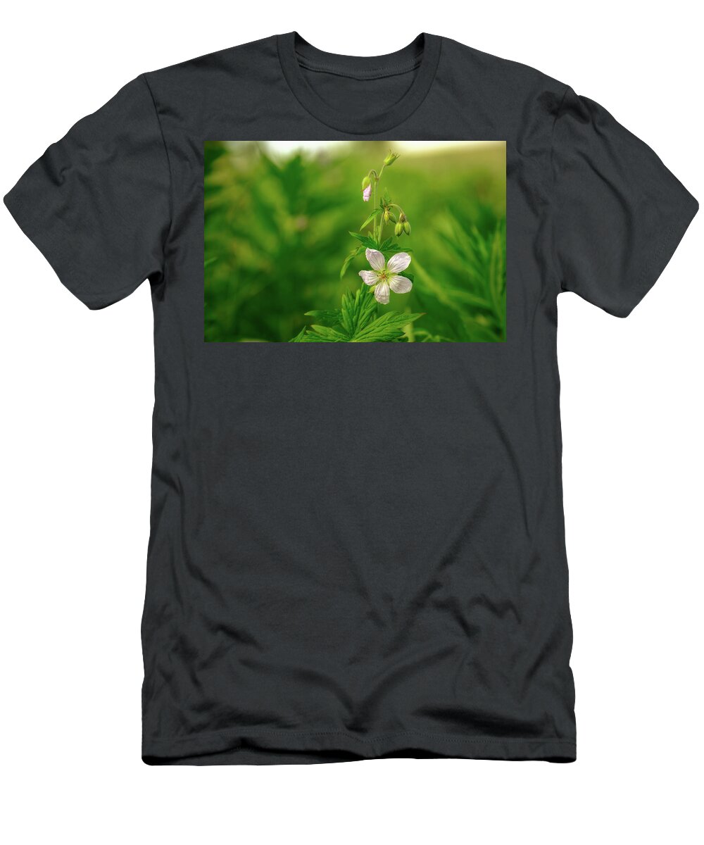 Mountain T-Shirt featuring the photograph A wild rose found in the Canadian Rockies. by Yves Gagnon