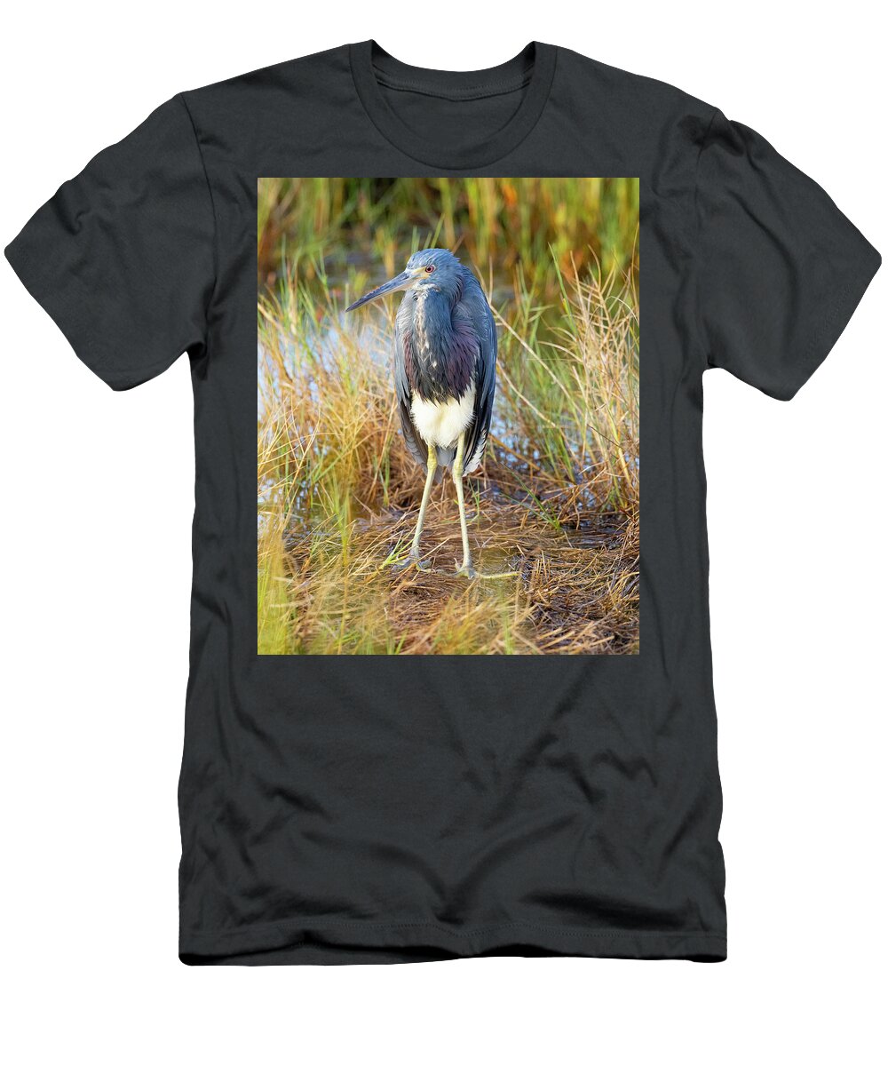 R5-2607 T-Shirt featuring the photograph A young blue heron by Gordon Elwell