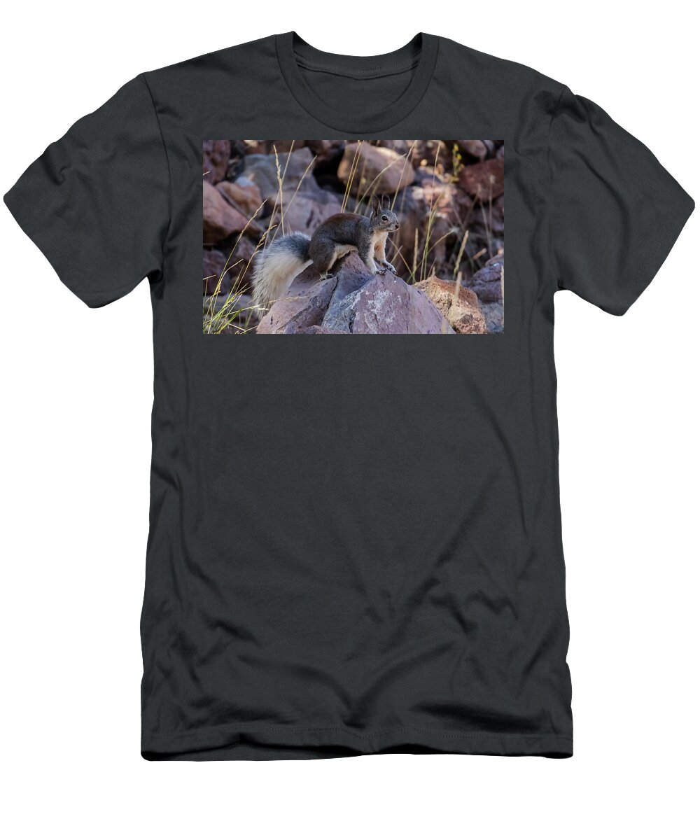 Squirrel T-Shirt featuring the photograph Abert's Squirrel by Laura Putman