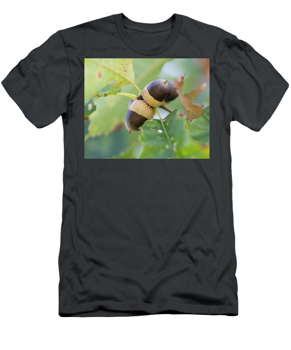 Acrons T-Shirt featuring the photograph Acorns by David Beechum