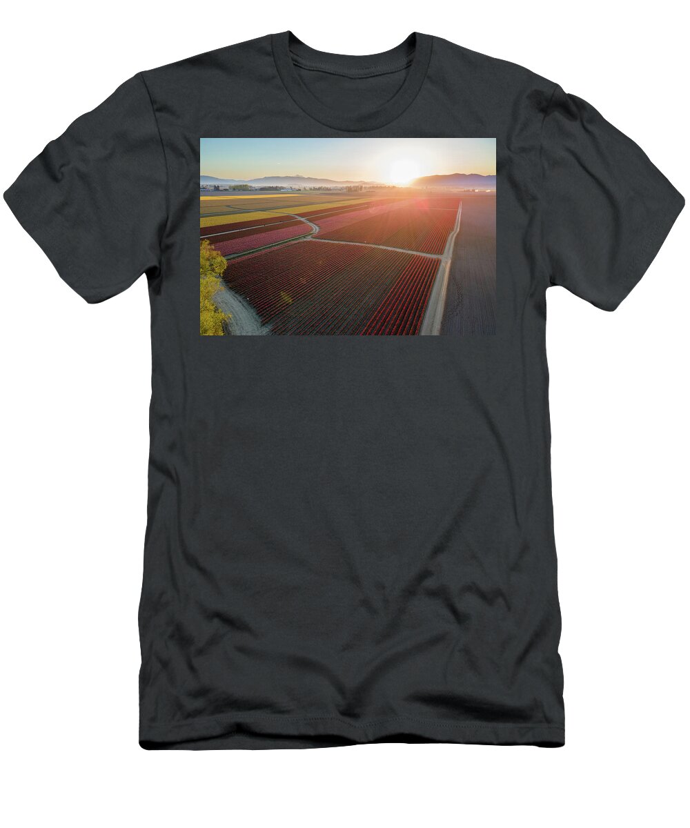 Skagit T-Shirt featuring the photograph Aerial Tulips1 by Michael Rauwolf